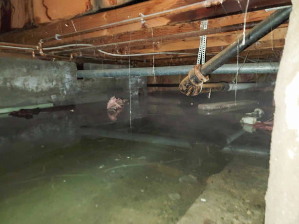 Best Residential water damage restoration  in Chester, MD