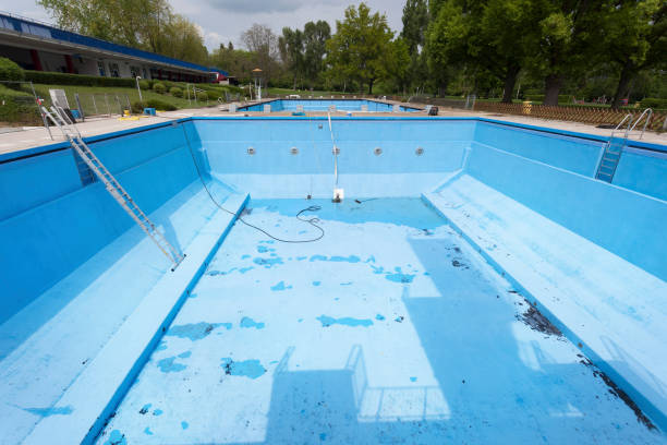 Best Flooded house restoration  in Chester, MD