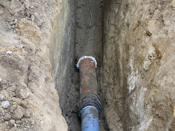 Best Sewage cleanup and water damage restoration  in Chester, MD