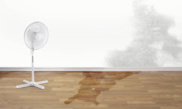 Best Ceiling water damage repair  in Chester, MD