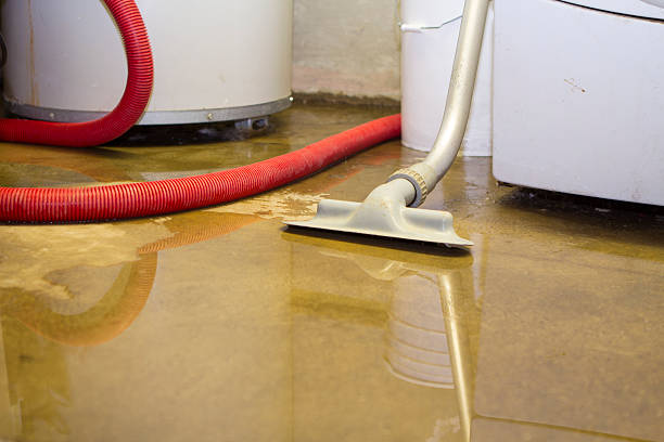 Best Water damage mitigation services  in Chester, MD