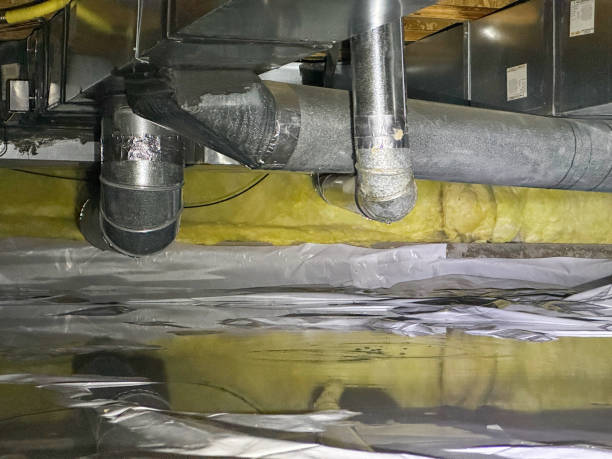 Best Water damage restoration near me  in Chester, MD