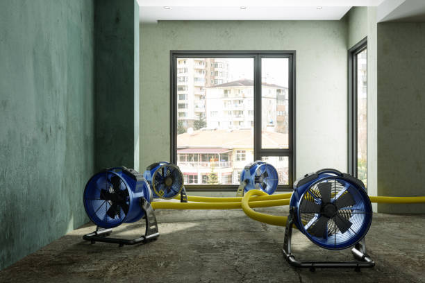 Best Carpet water damage restoration  in Chester, MD
